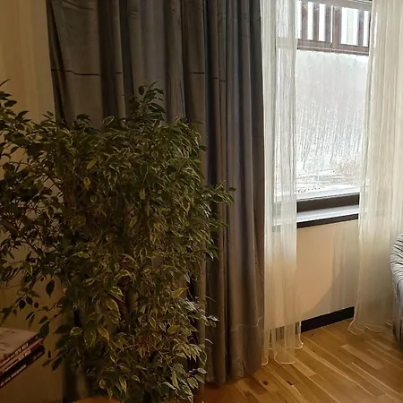 “la Iepure” * Brasov